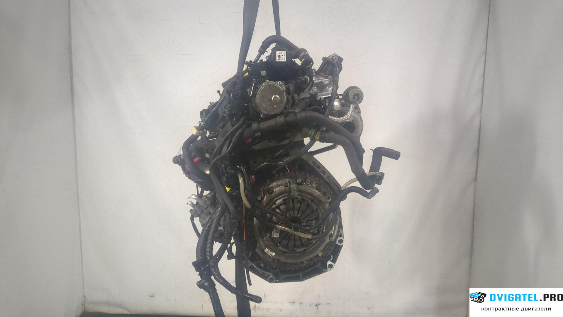 Двигатель Nissan Note E11 2006 - 2013 K9K 1.5 л., Дизель, DCI, артикул 9006880