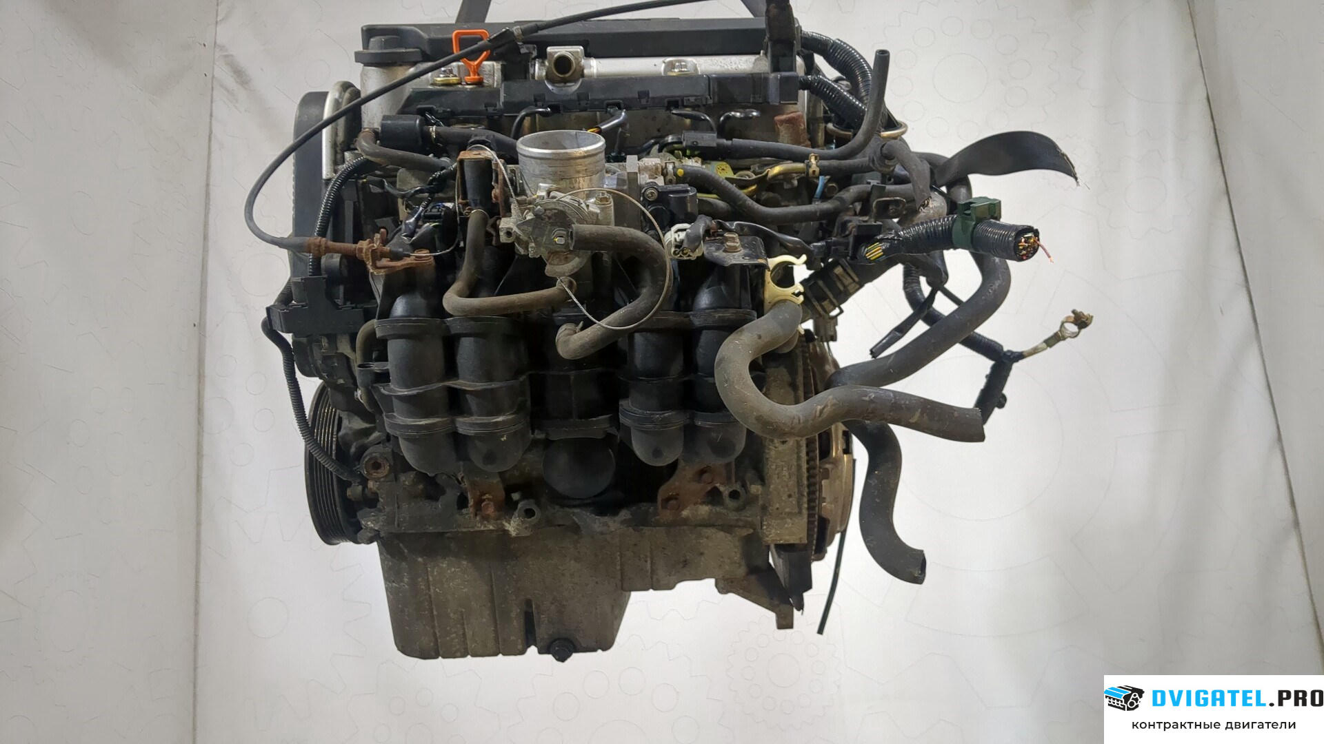 Двигатель Honda Civic 2001 - 2005 D16V1 1.6 л., Бензин, Инжектор, артикул 9251822