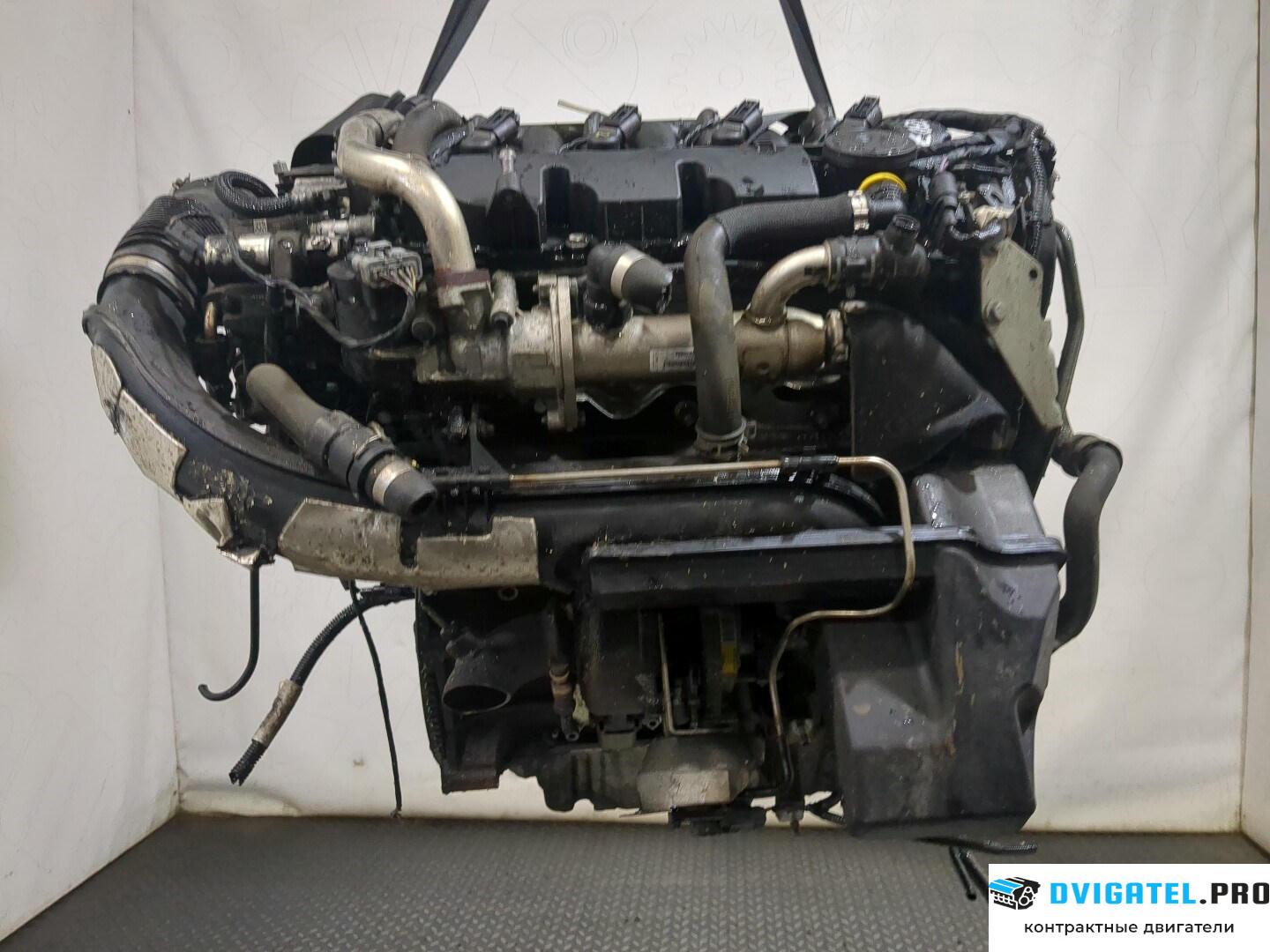 Двигатель Ford Mondeo 4 2007 - 2015 QXBA, QXBB 2 л., Дизель, TDCI, артикул 8405891