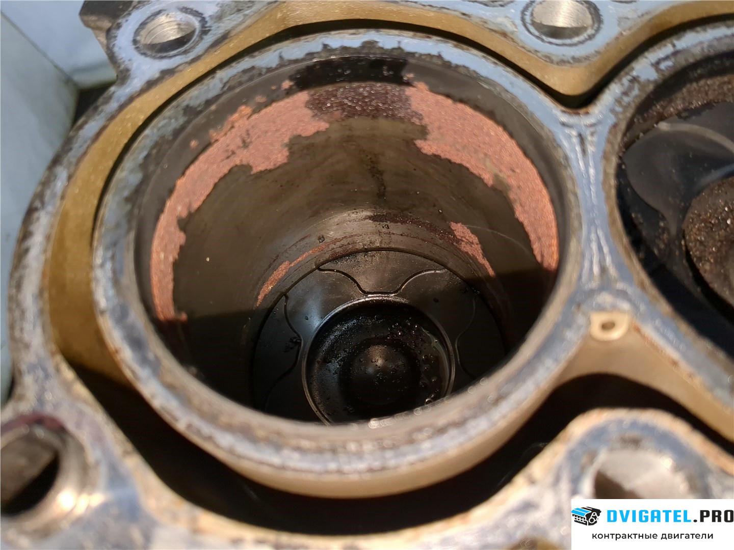 Шорт блок (Блок цилиндров) Ford Fiesta 2001 - 2007 HHJA, HHJB 1.6 л., Дизель, TDCI, артикул 7790082