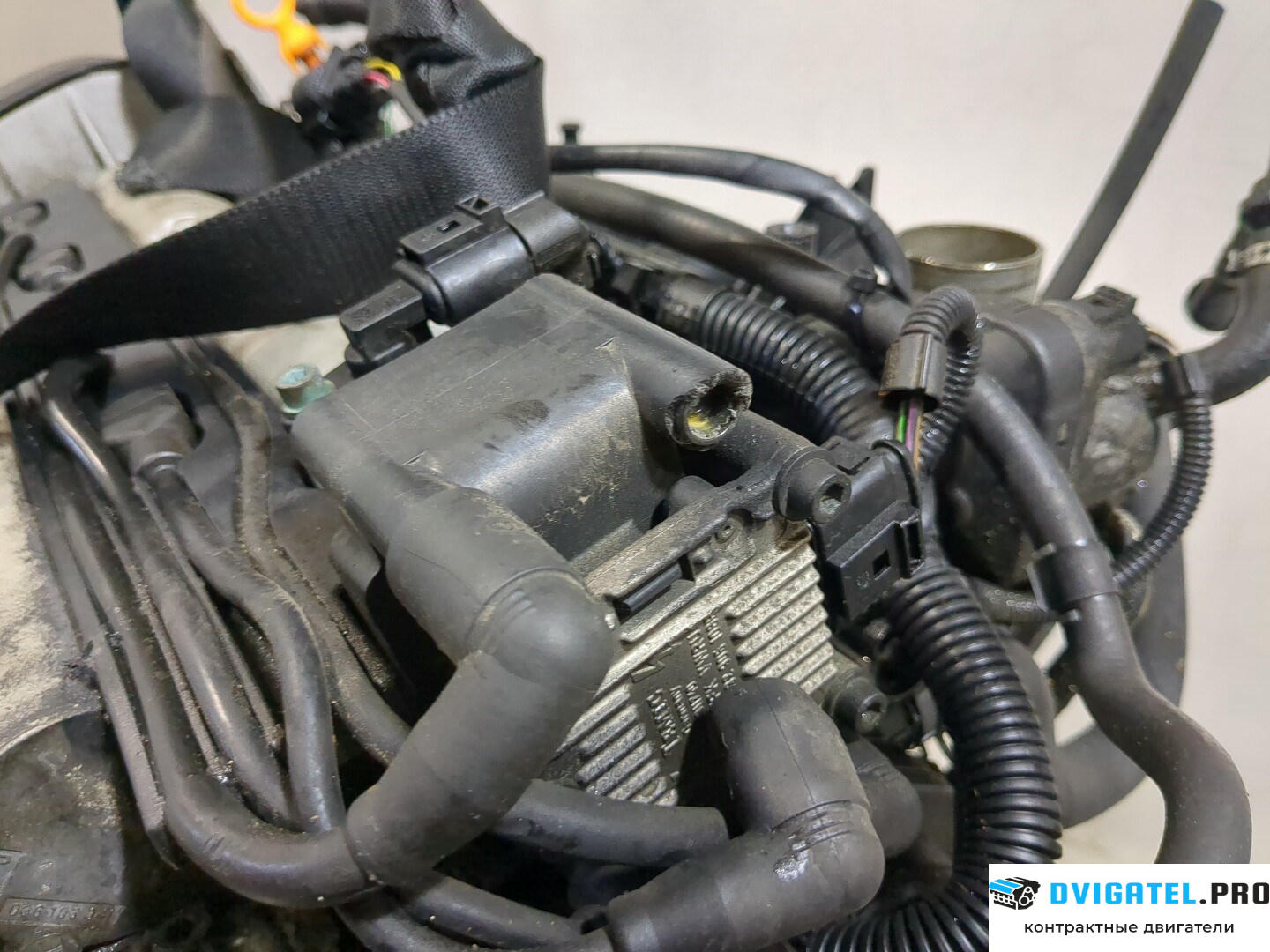 Двигатель Volkswagen Golf 4 1997 - 2005 AXP 1.4 л., Бензин, Инжектор, артикул 8352357