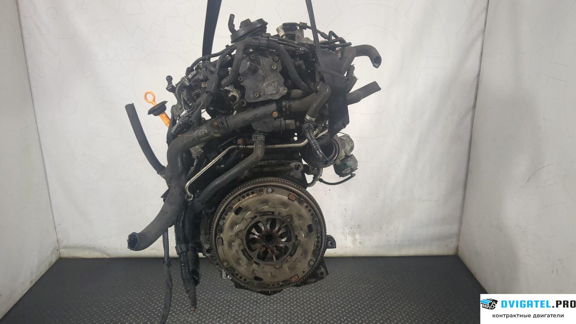 Двигатель Volkswagen Golf Plus BXF 1.9 л., Дизель, TDI, артикул 8777847