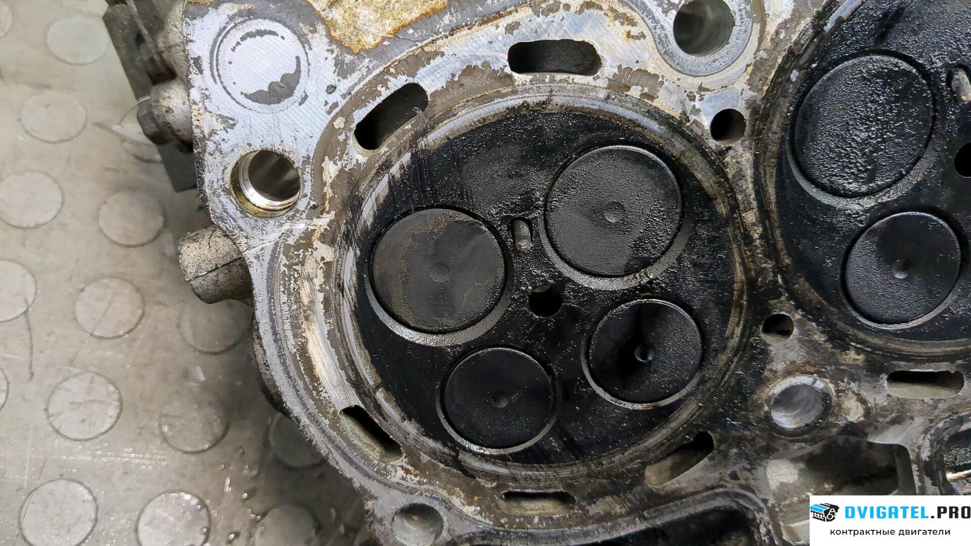Головка блока цилиндров (ГБЦ) Subaru Legacy Outback B13 2003 - 2009 EE20Z 2 л., Дизель, Турбо, артикул 8581570