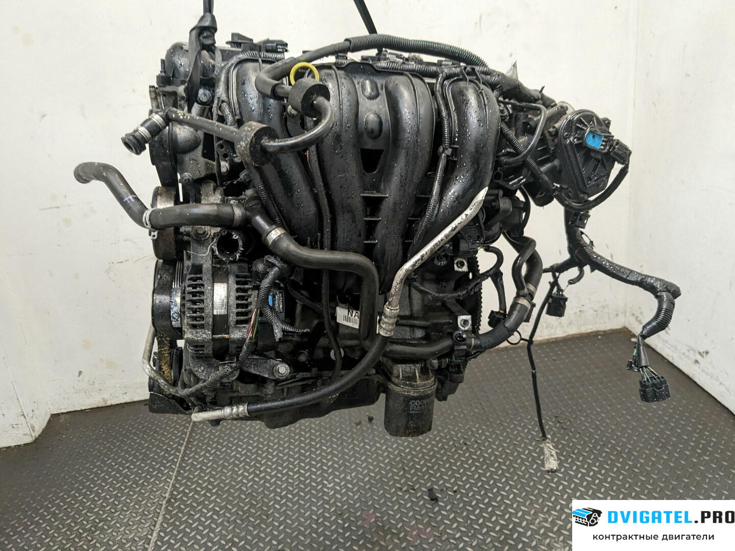 Двигатель Ford C-Max 2002 - 2010 AODA, AODB, AODE, SYDA 2 л., Бензин, Инжектор, артикул 8275606