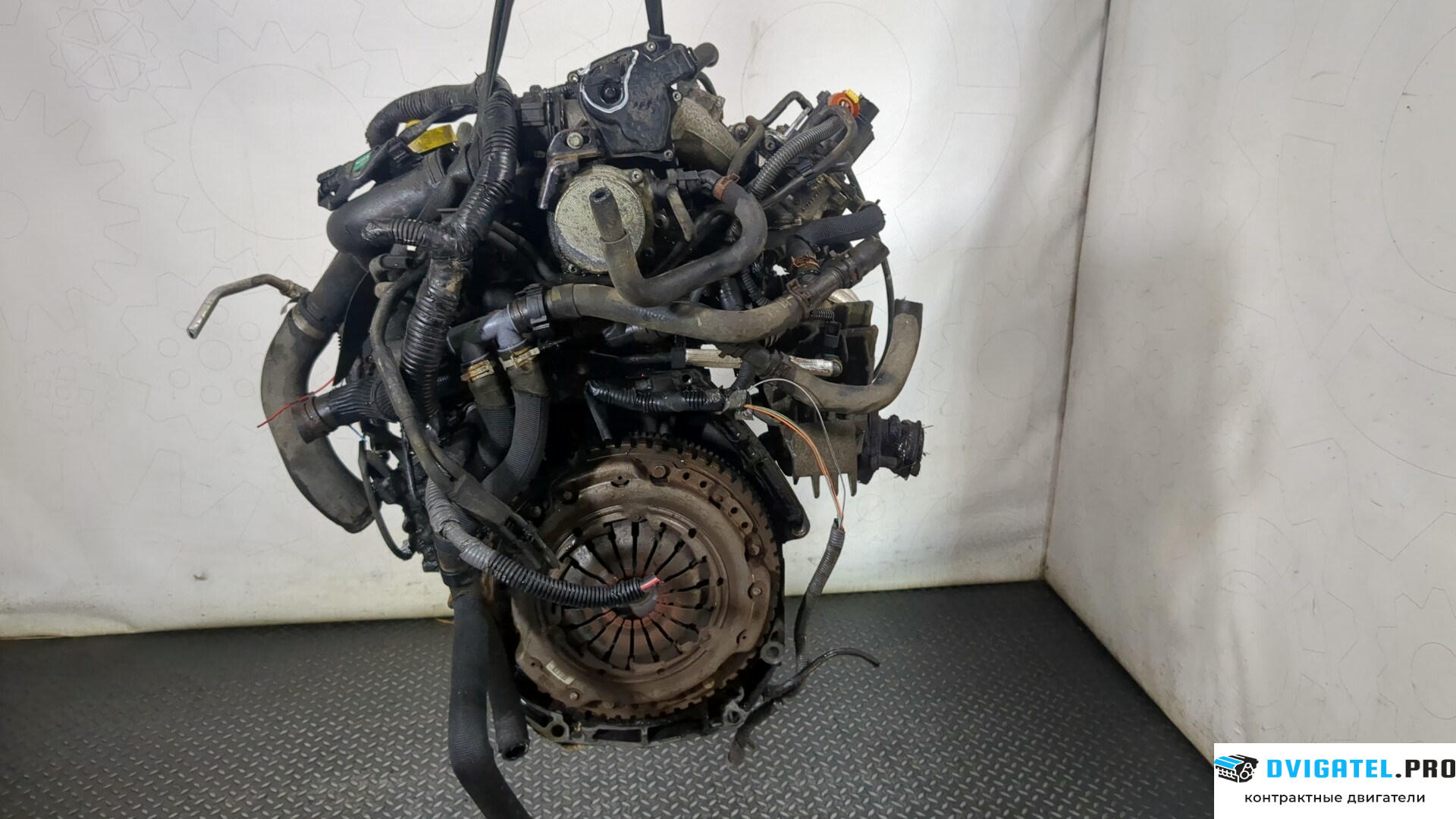 Двигатель Nissan Note E11 2006 - 2013 K9K 1.5 л., Дизель, DCI, артикул 8865801