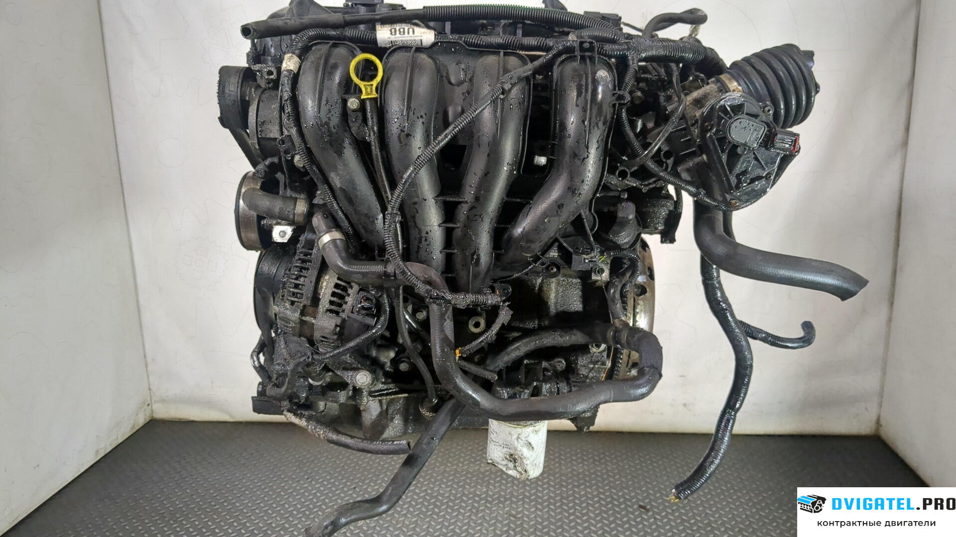 Двигатель Ford Focus 2 2005 - 2008 QQDB 1.8 л., Бензин, SFI Инжектор, артикул 8869929