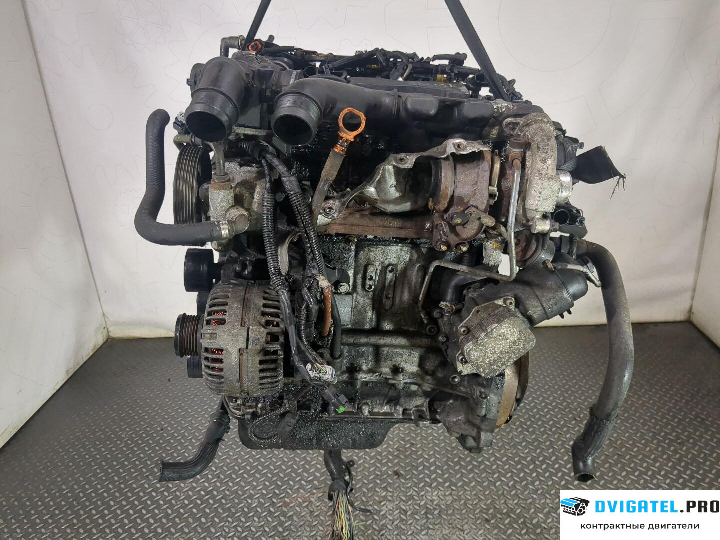 Двигатель Citroen Berlingo 2002 - 2008 9HW 1.6 л., Дизель, HDI, артикул 8568206
