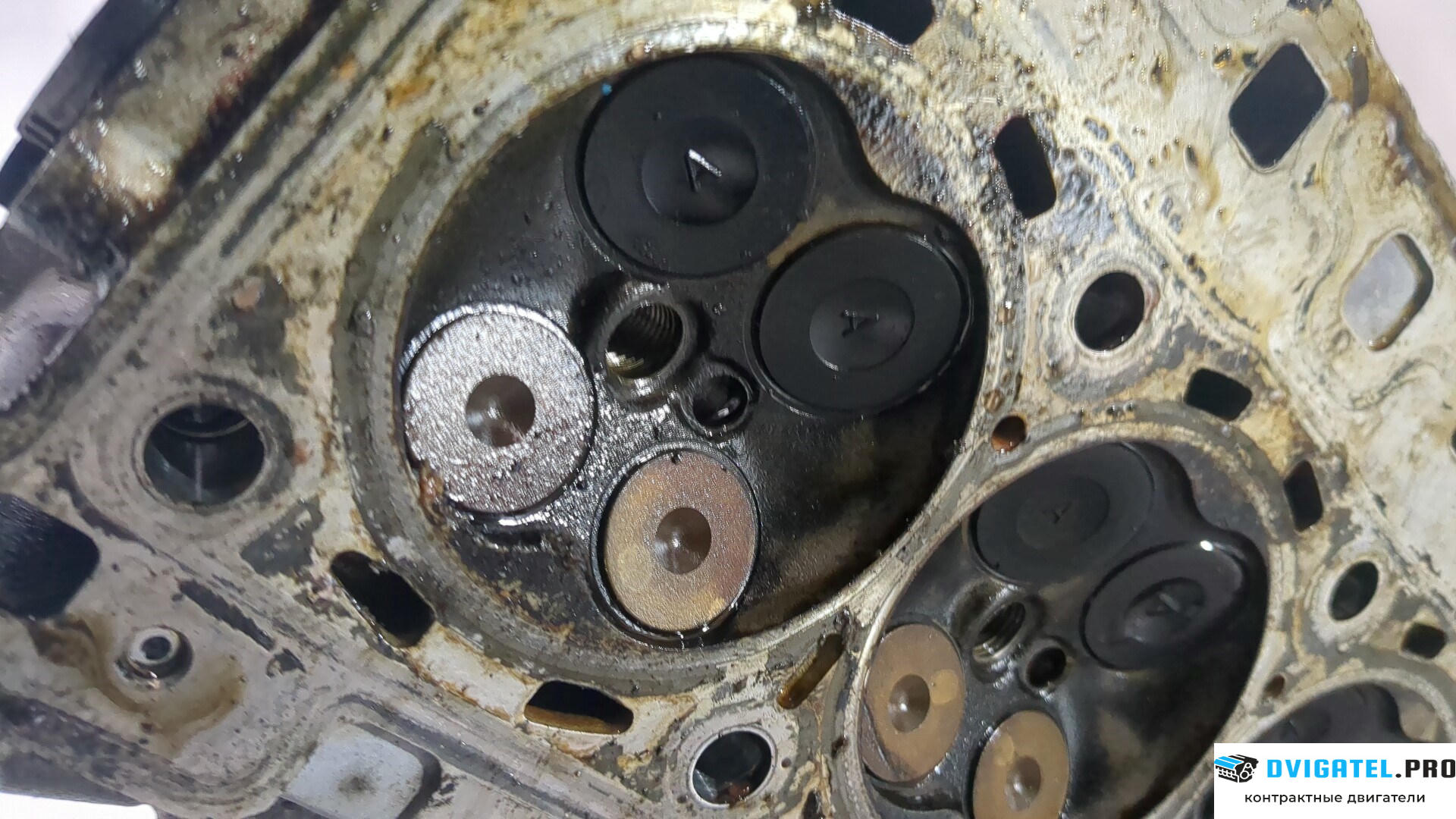 Головка блока цилиндров (ГБЦ) Ford Focus 3 2011 - 2015 M2DA 1 л., Бензин, EcoBoost, артикул 8921706