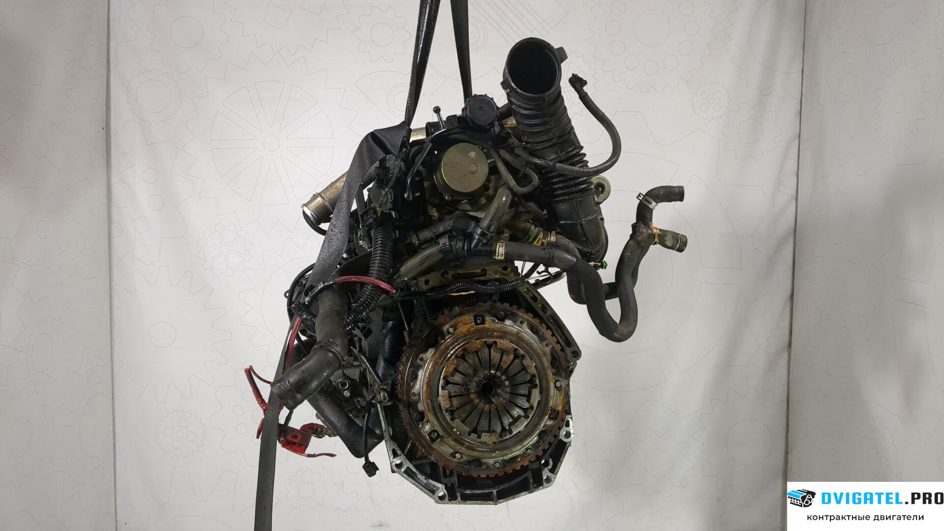Двигатель Renault Scenic 2003 - 2009 K9K 724 1.5 л., Дизель, DCI, артикул 8569006