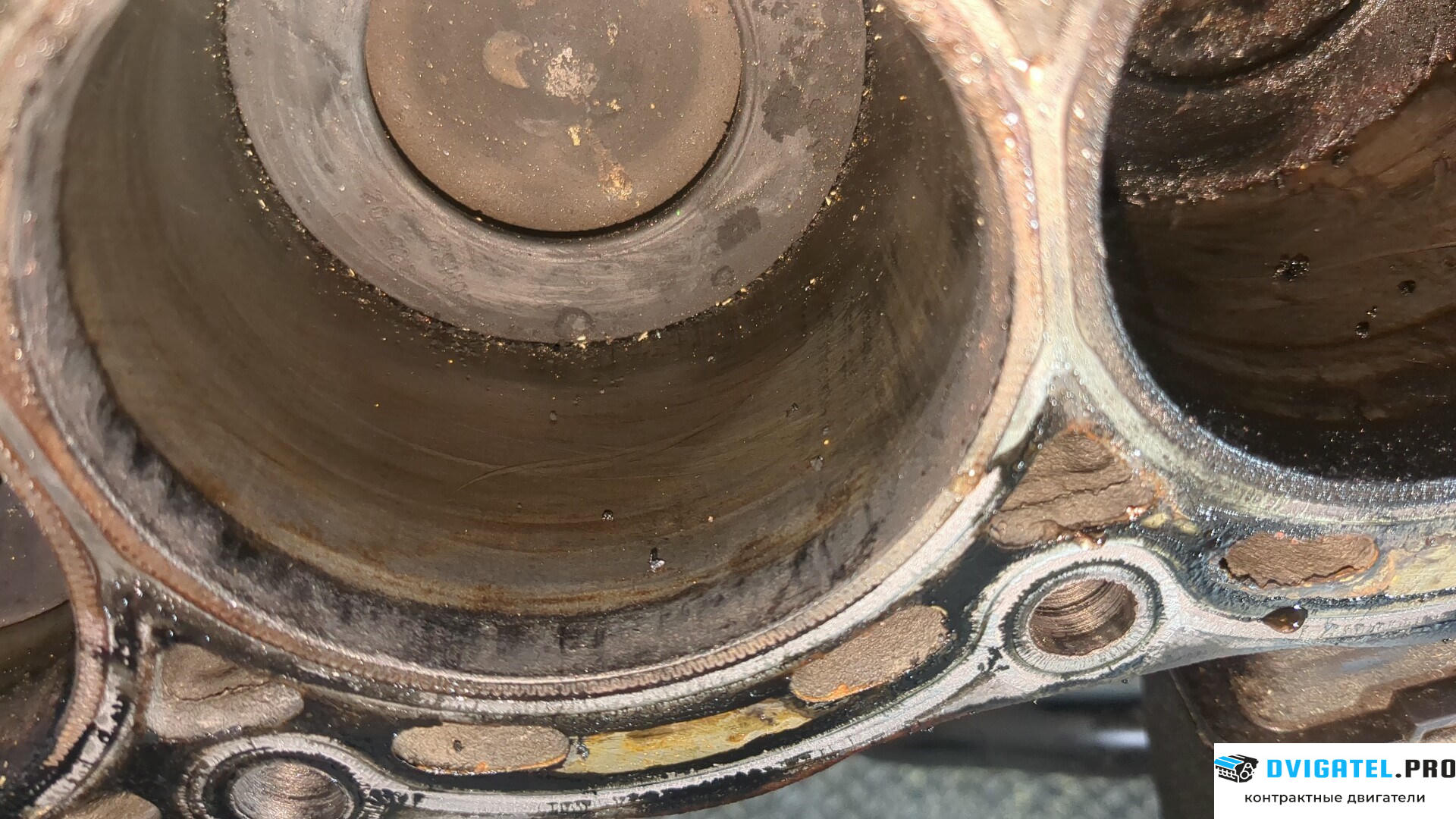 Шорт блок (Блок цилиндров) Ford Kuga 2008 - 2012 TXDA 2 л., Дизель, TDCI, артикул 8937667
