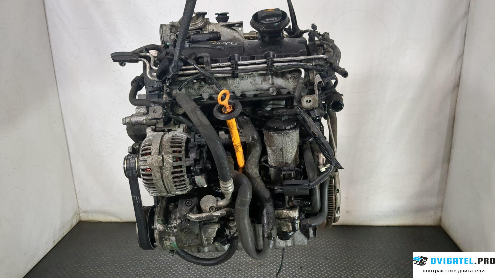 Двигатель Volkswagen Golf Plus BRU 1.9 л., Дизель, TDI, артикул 8819152