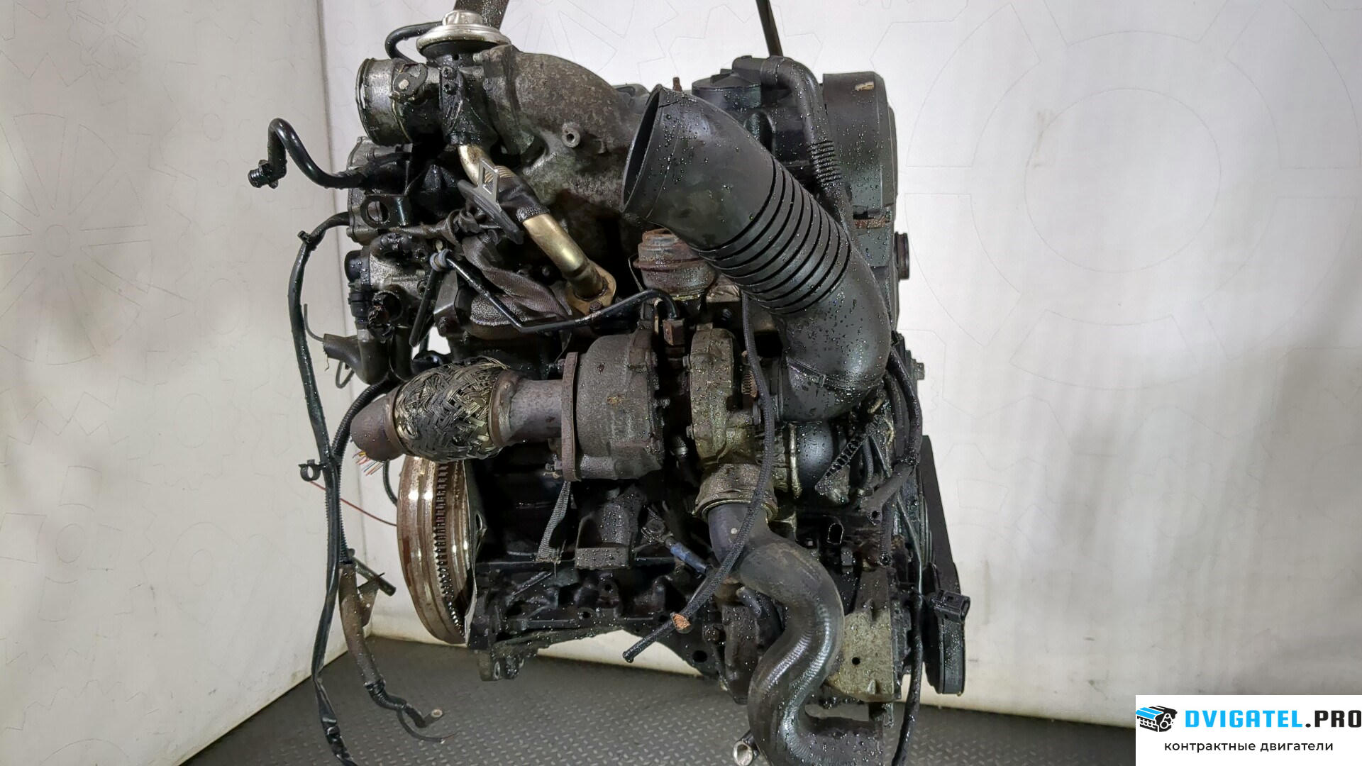 Двигатель Audi A6 C5 1997 - 2004 AWX 1.9 л., Дизель, TDI, артикул 8848164