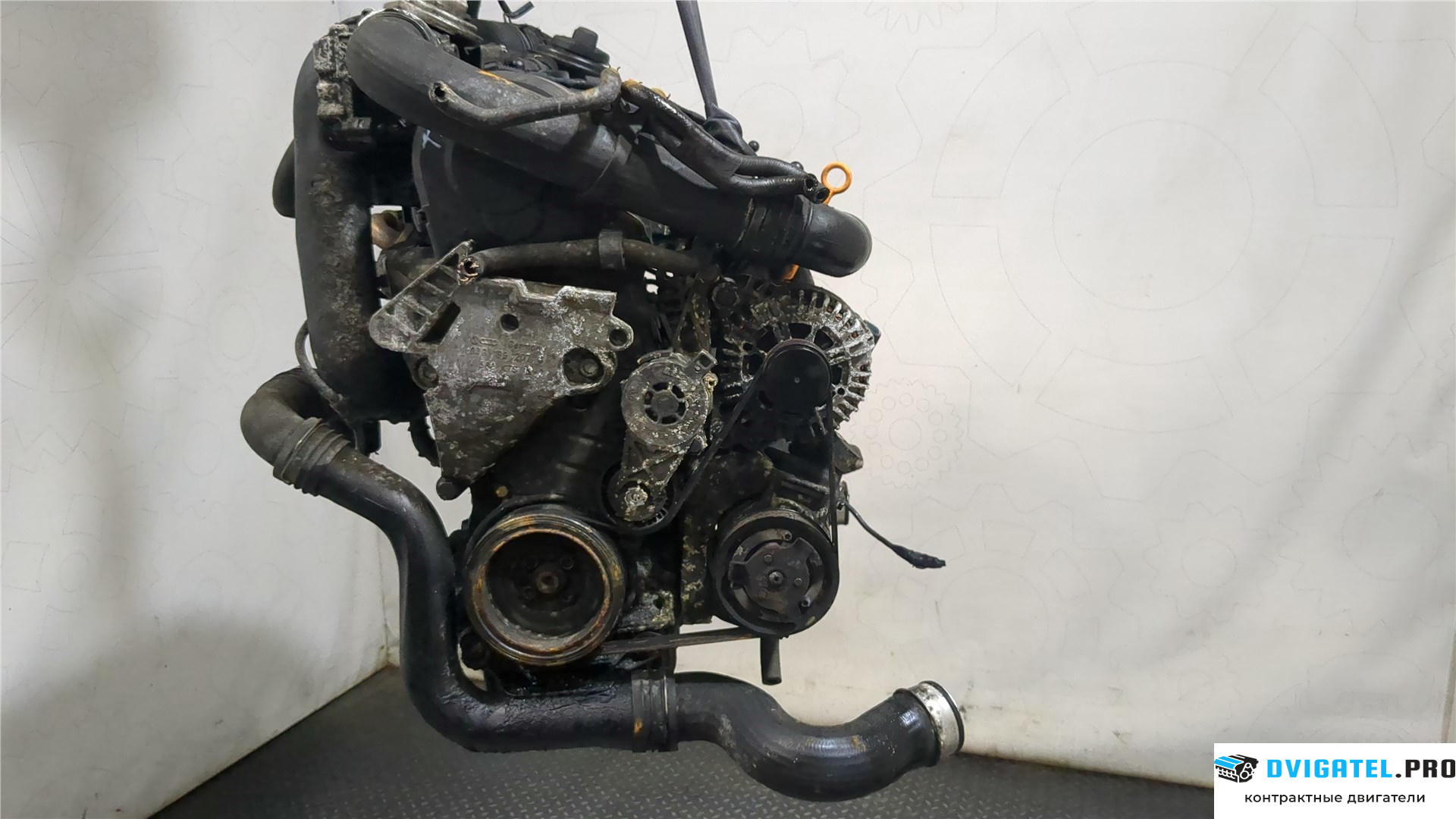 Двигатель Skoda Octavia A5 2008 - 2013 BXE 1.9 л., Дизель, TDI, артикул 8142259