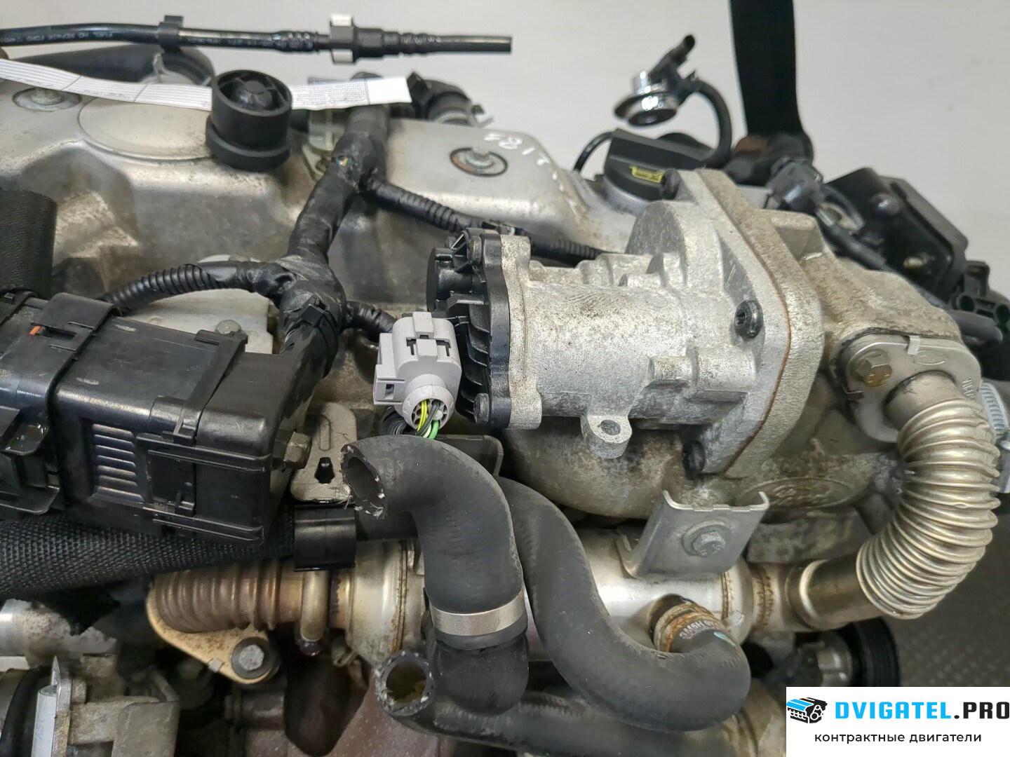 Двигатель Ford Focus 2 2005 - 2008 KKDA, KKDB 1.8 л., Дизель, TDCI, артикул 9237727