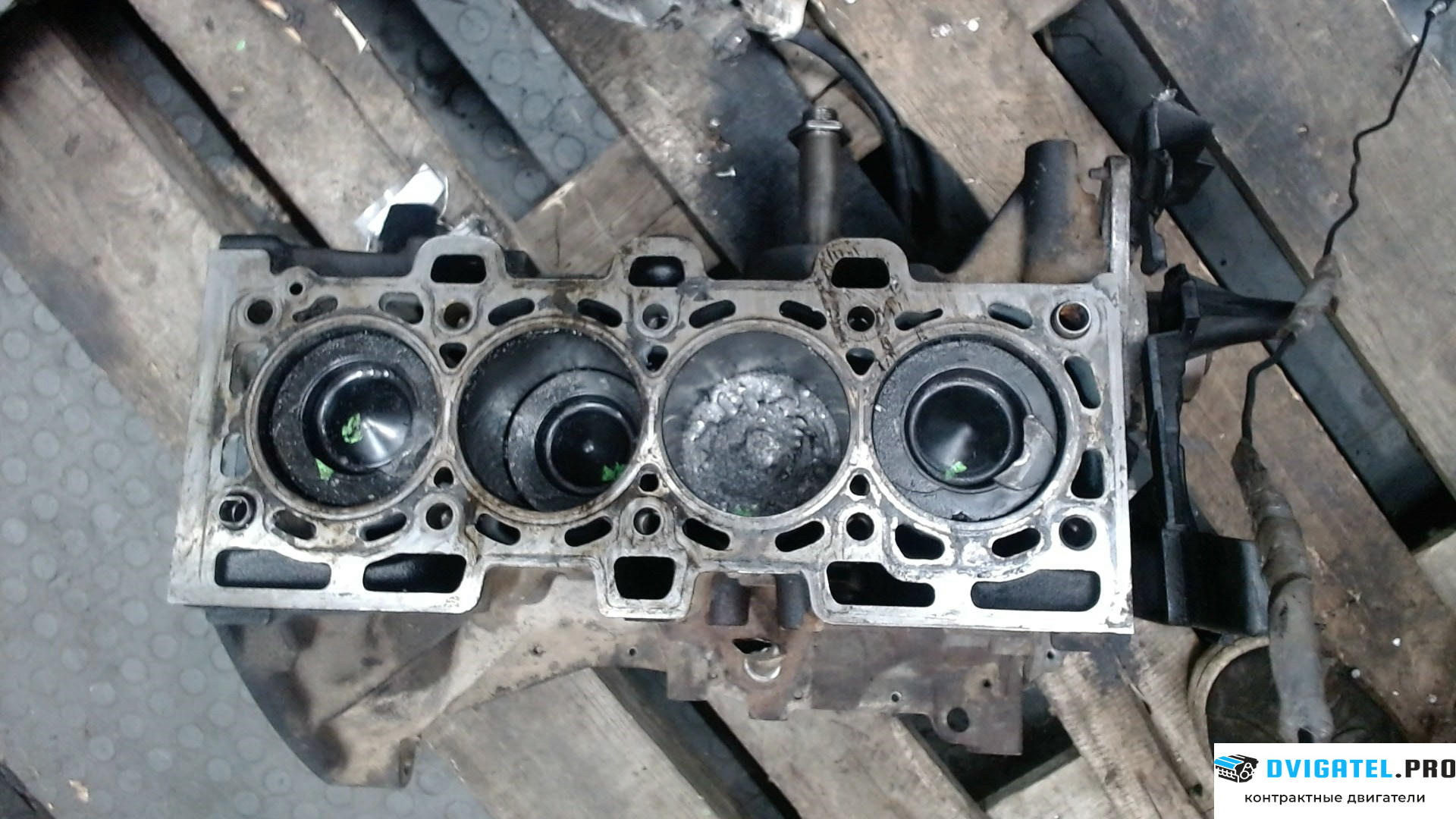 Шорт блок (Блок цилиндров) Nissan Qashqai 2006 - 2013 K9K 1.5 л., Дизель, DCI, артикул 7047836