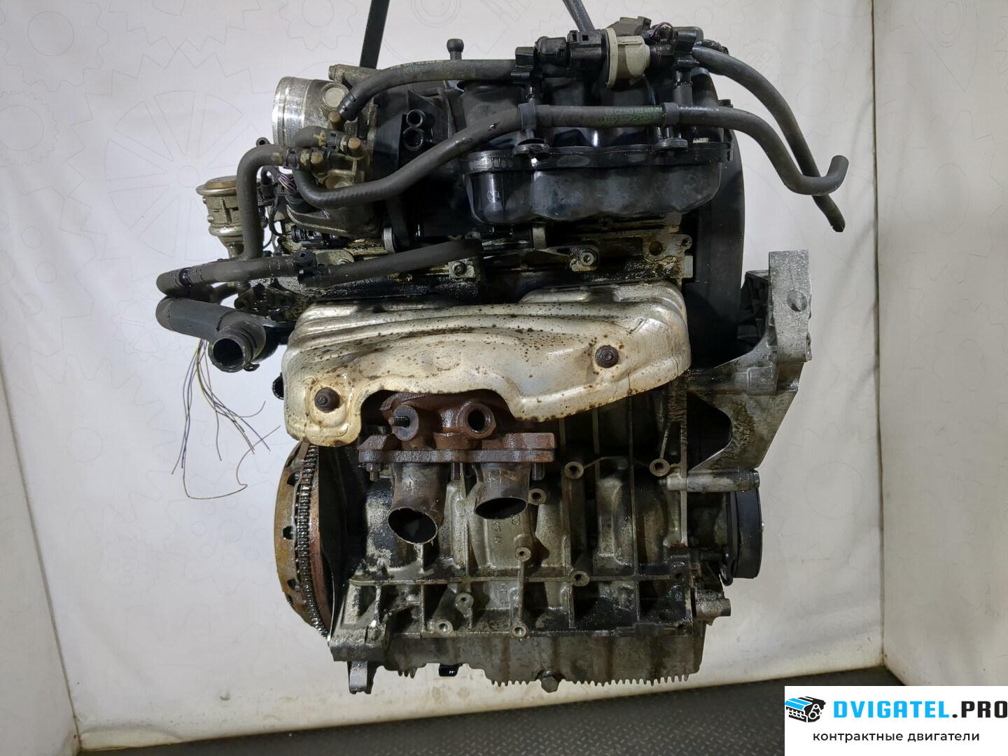 Двигатель Audi A3 8P 2008 - 2013 BSE 1.6 л., Бензин, Инжектор, артикул 8761438
