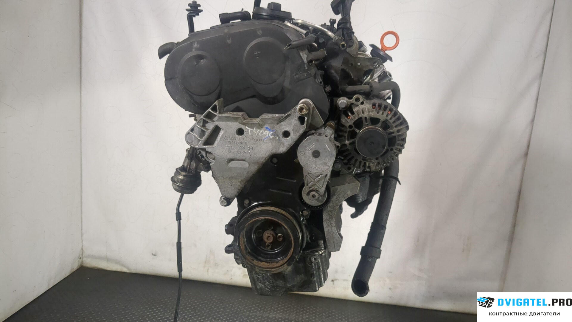Двигатель Audi A3 8P 2004 - 2008 BKD 2 л., Дизель, TDI, артикул 9079606