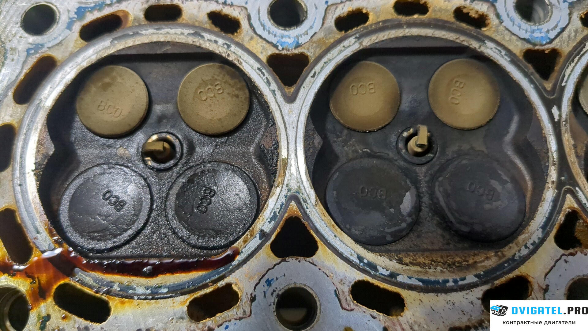 Головка блока цилиндров (ГБЦ) Nissan Micra K12E 2003 - 2010 CR12DE 1.2 л., Бензин, Инжектор, артикул 8905109