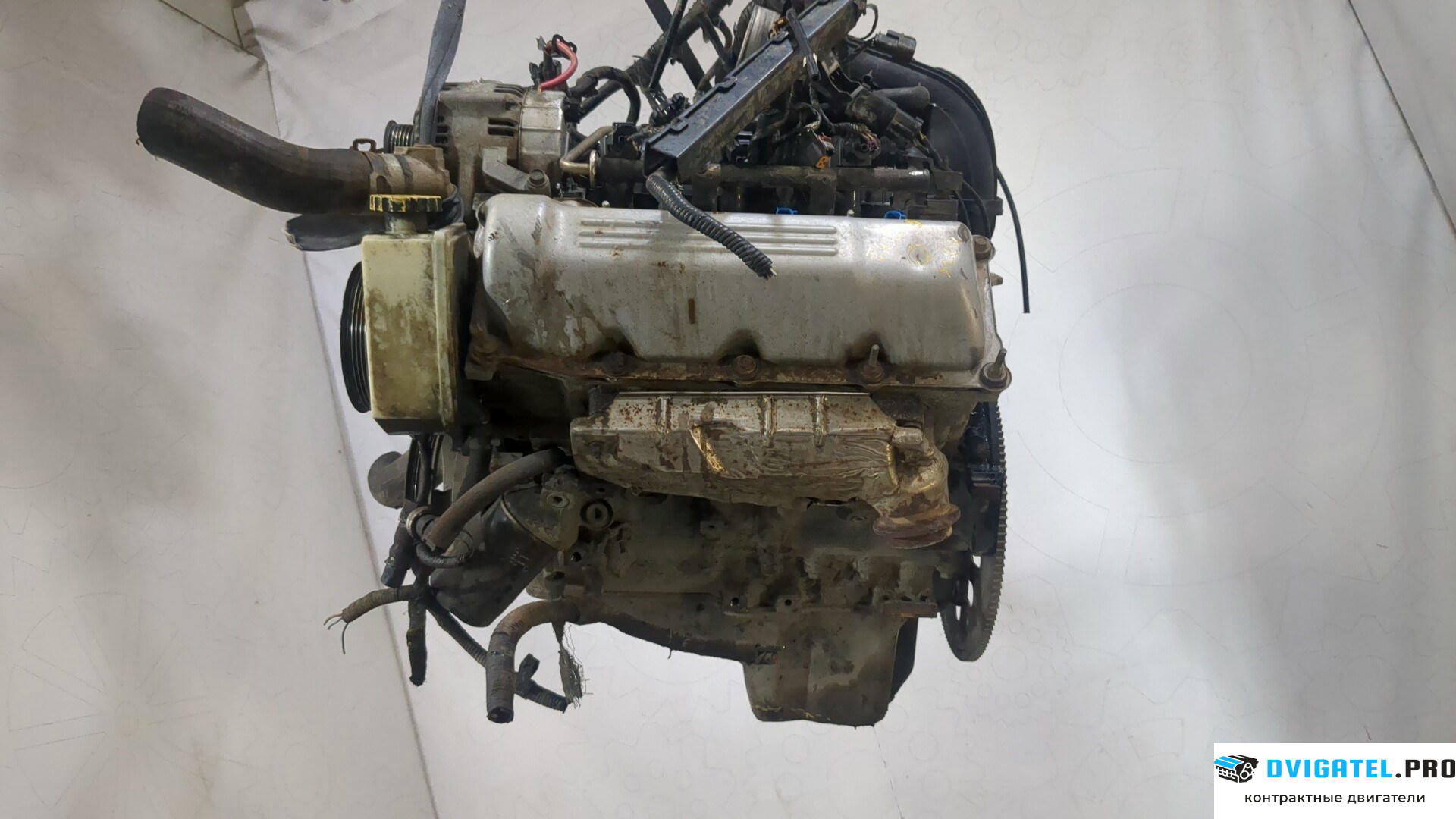 Двигатель Jeep Liberty 2002 - 2006 EKG 3.7 л., Бензин, Инжектор, артикул 9147176