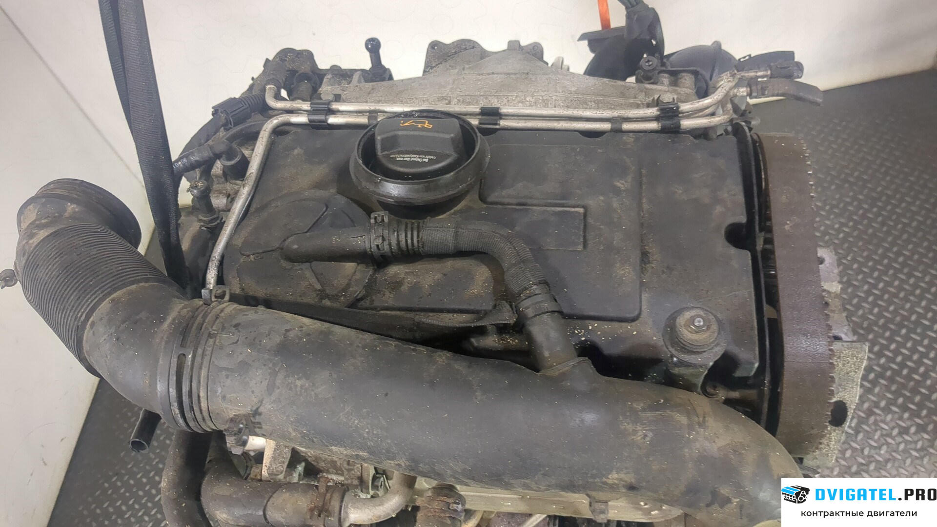 Двигатель Volkswagen Golf Plus BKD 2 л., Дизель, TDI, артикул 8904556