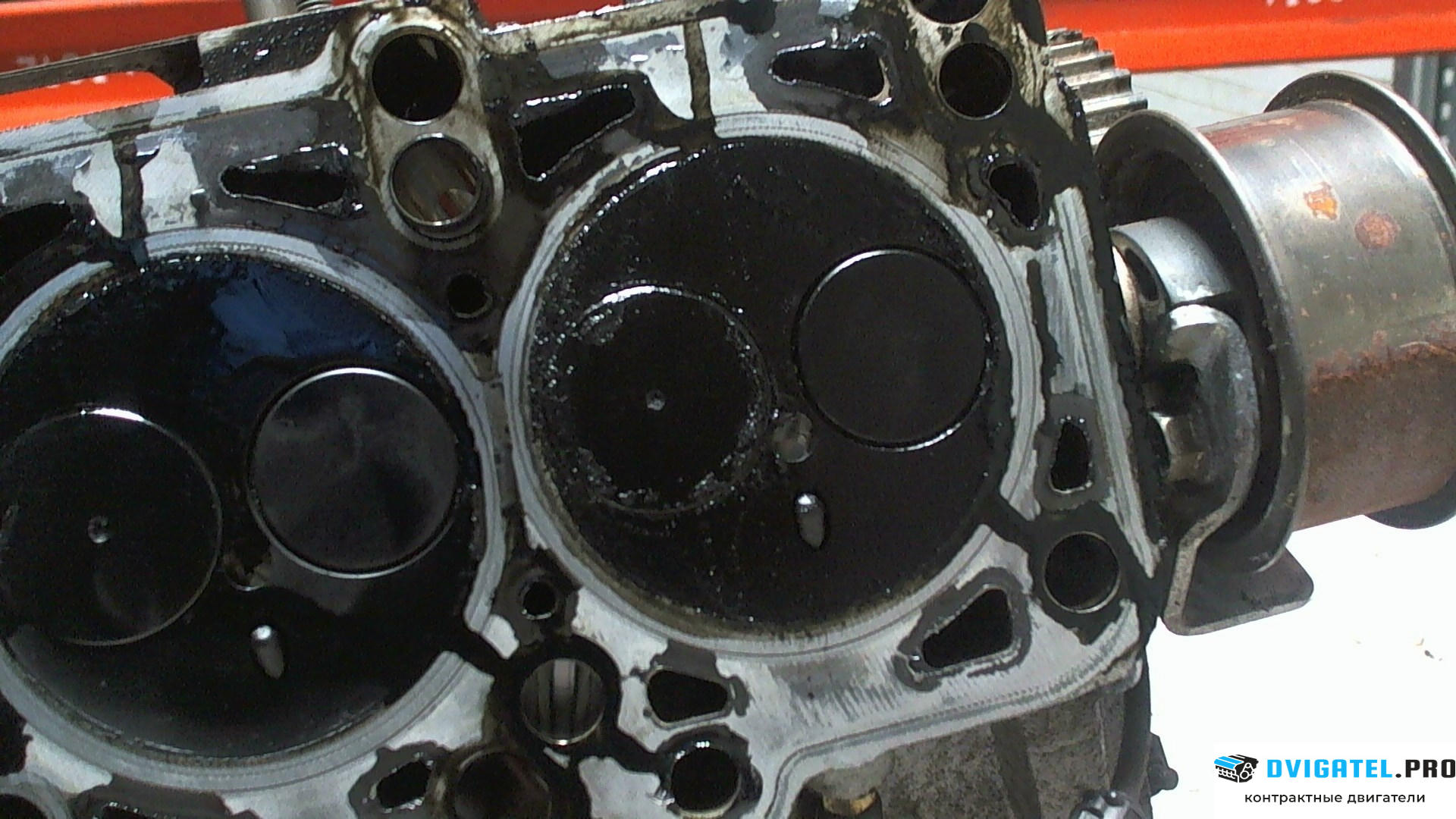 Головка блока цилиндров (ГБЦ) Volkswagen Lupo AYZ 1.2 л., Дизель, TDI, артикул 6764941